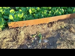 Galvanisierte Corten Stahlgrenze 1SGS 000mm*1.6mm*100mm, die Corten-Rasen-Rand umrandet